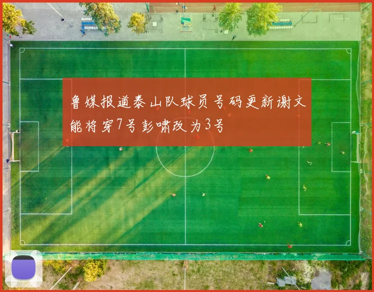 鲁媒报道泰山队球员号码更新谢文能将穿7号彭啸改为3号