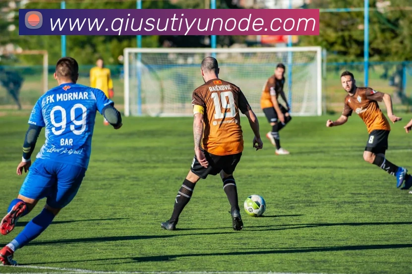 球速体育平台生态图